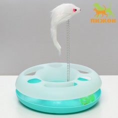 Игрушка для кошек Пижон Загадочный круг с дразнилкой и шариком, 24 х 24 х 7 см, бирюзовая
