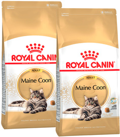 Сухой корм для кошек Royal Canin Maine Coon Adult, для породы мэйн-кун, 2 шт по 0,4 кг