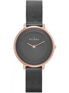 Наручные часы Skagen SKW2277