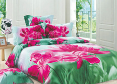 Постельное бельё 1,5сп. ВОЛШЕБНЫЕ СНЫ наволочки 70х70