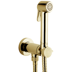 Bossini Гигиенический душ Bossini Paloma Brass Mixer Set E37005B.021 со смесителем, золото