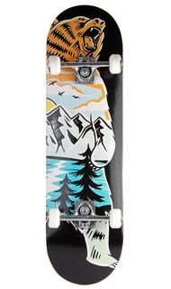 Скейтборд Larsen STREET 5 р31"х8"