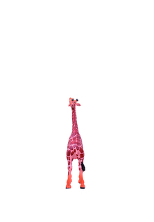 Фигурка "Жираф", серия ZOO (11*3,3*16,7 см) ZY524790 Kari Land
