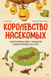Книга Королевство насекомых. Интерактивная книга с окошками о жизни муравьёв, ос и пчёл