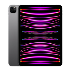 Планшет Apple iPad Pro 11 2022 256Gb Wi-Fi + Cellular Space Gray (MP573)