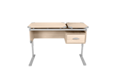 Парта ДЭМИ Parta 2/70-40 (ш700+400, г500, в525-765, серые стойки, тумба) Ясень серый No Brand