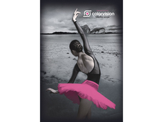 Ежедневник Collezione А5.80л. балерина у воды(80-8240)7бц.контраст.цв.мел обл. недатир Проф Пресс