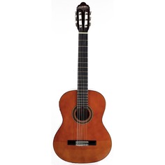 Классическая гитара Valencia VC104E