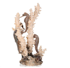 Декоративный элемент Коралл-морские коньки seahorses on coral natural M No Brand