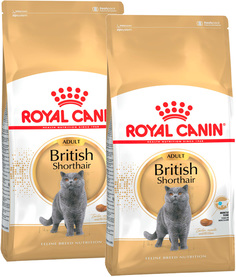 Сухой корм для кошек ROYAL CANIN BRITISH SHORTHAIR ADULT, для британских, 2шт по 0,4кг