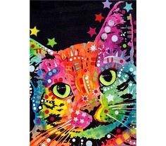 Алмазная мозаика картина стразами Разноцветный кот, 30х40 см No Brand