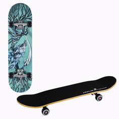 Скейтборд RGX LG 79х20 см, 308