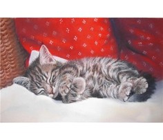 Алмазная мозаика картина стразами Спящий котёнок, 40х50 см No Brand