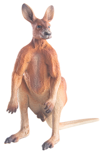 Фигурка животного Collecta Кенгуру самец, 88942b