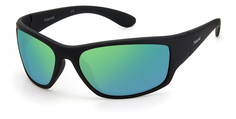 Солнцезащитные очки мужские Polaroid 7005/S, черный