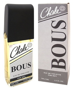 Туалетная вода мужская Positive parfum Chale Bous