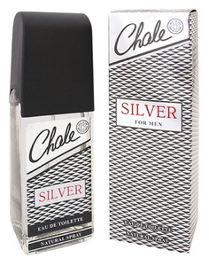 Туалетная вода мужская Positive parfum Chale Silver 100 мл