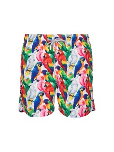 Шорты мужские MC2 Saint Barth GUS0001 разноцветные 48 RU