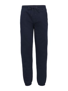 Спортивные брюки мужские Aeronautica Militare PF852F467 синие 52 RU