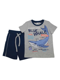 Костюм детский Cherubino CSKB 90097-11-315, серый, 92