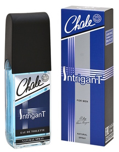 Туалетная вода мужская Positive parfum CHALE INTRIGANT 100 мл