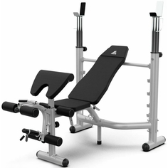 Скамья под штангу DFC D748