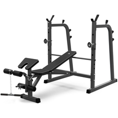 Скамья со стойками под штангу DFC D709