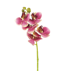Цветок искусственный на ножке Орхидея бордовая Gloria Garden 70 см 9180083