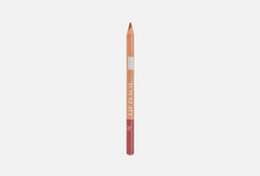 КАРАНДАШ ДЛЯ ГУБ Astra