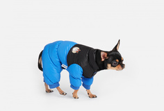 Комбинезон для собак Arnydog