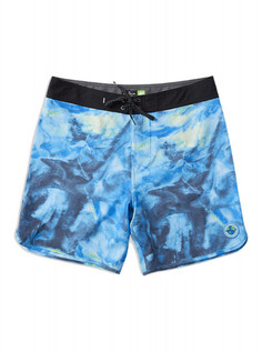 ШОРТЫ OCEAN SCALLOP M BDSH BYB8 Quiksilver