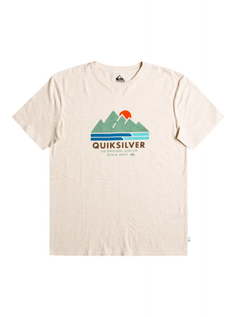 ФУТБОЛКА (ФУФАЙКА) SCENICRECOVERY M TEES WDWH Quiksilver
