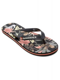 Сланцы Quiksilver Molokai Art Black 1