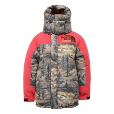 Пуховик The North Face x Gucci Gucci