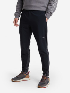 Брюки мужские Columbia Rogue Runner Train Pant, Черный