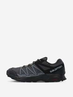 Кроссовки мужские Salomon Leonis Gtx, Синий