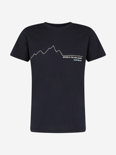 Футболка мужская IcePeak Moxee, Синий