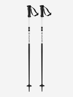 Палки горнолыжные Salomon X NORTH, Черный