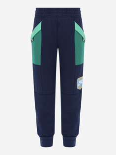 Брюки для мальчиков Nike Great Outdoors, Синий