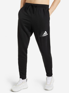 Брюки мужские adidas Essentials Logo, Черный