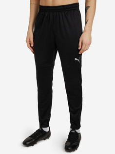 Брюки мужские PUMA teamFINAL Training Pants, Мультицвет