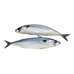 Скумбрия непотрошеная, кг Noname