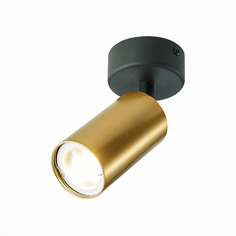 Потолочный светильник st luce накладные светильники st303.202.01 (st luce) золотой