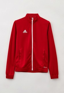 Олимпийка adidas