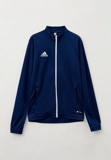 Олимпийка adidas