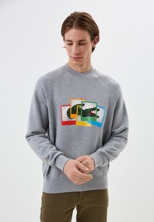 Свитшот Lacoste