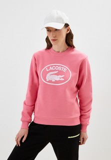 Свитшот Lacoste