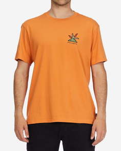 ФУТБОЛКА (ФУФАЙКА) SHINE SS M TEES 1566 Billabong