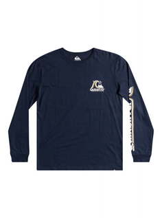 Мужской лонгслив Rolling Circle Quiksilver