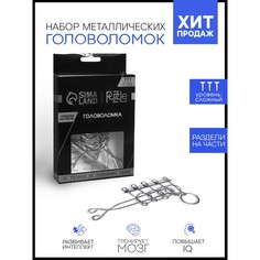 Головоломка Игры разума «Раздели на части» № 2 No Brand